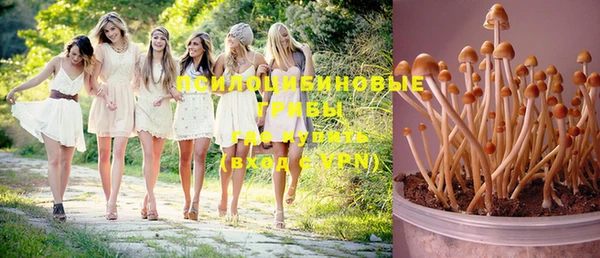 ешки Бежецк