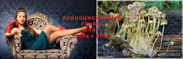 героин Медвежьегорск